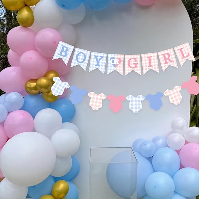 Gingham Boy Or Girl Baby Banner Plaid Welcome Baby Shower Sign Decoration - Image 5