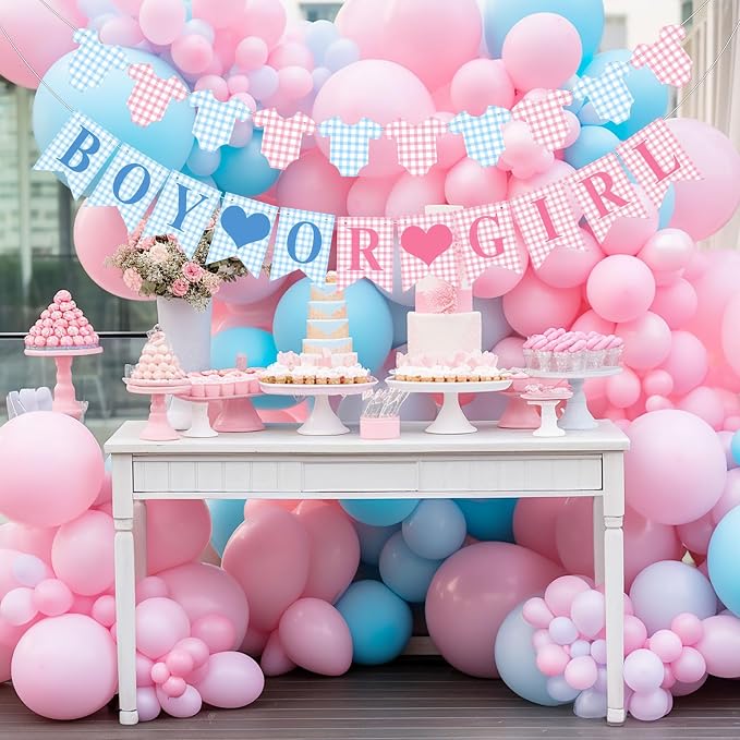 Hahafelt 1 Pcs Blue Pink Gingham Boy or Girl Clothesline Bodysuit Banner - Image 6