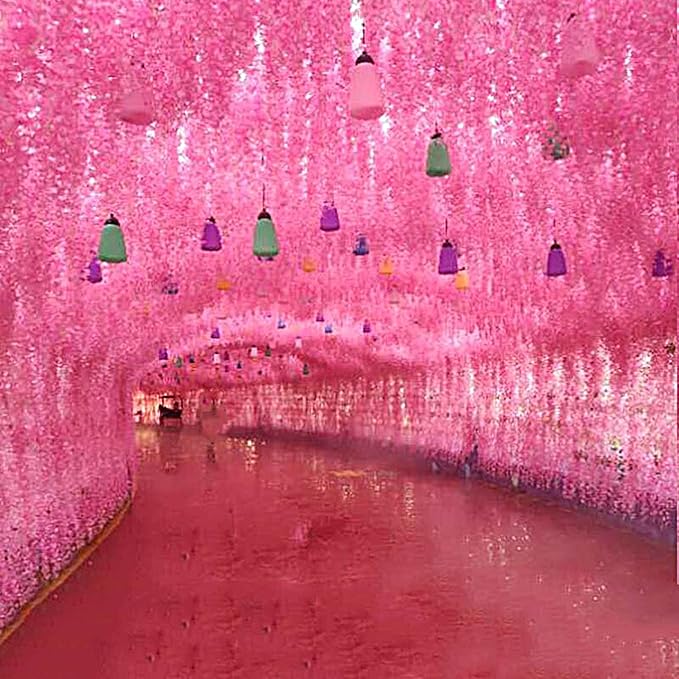 Artificial Wisteria Hanging Flowers-Fake Wisteria Flower Garland Silk Vines - Image 8