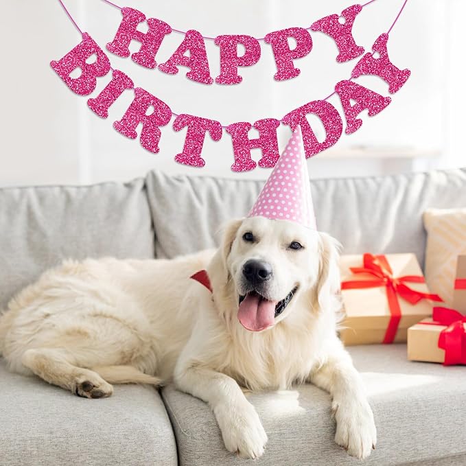 Rose Red Happy Birthday Banner Birthday Party Decorations Happy Birthday Banner - Image 9