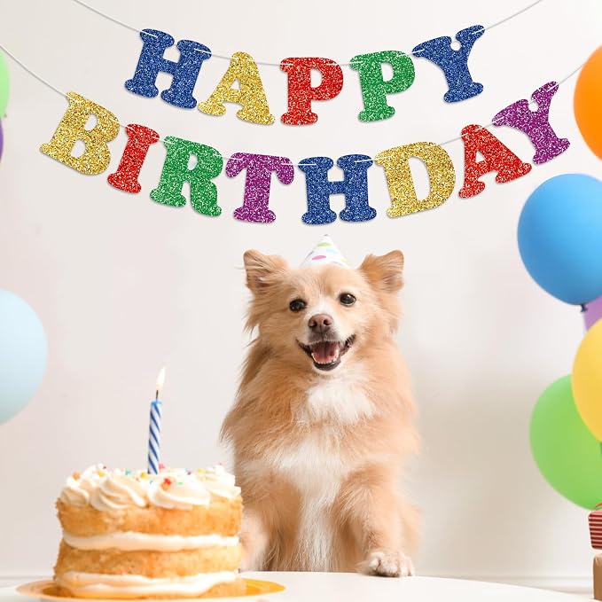 Colorful Happy Birthday Banner Birthday Party Decorations Happy Birthday Banner - Image 9