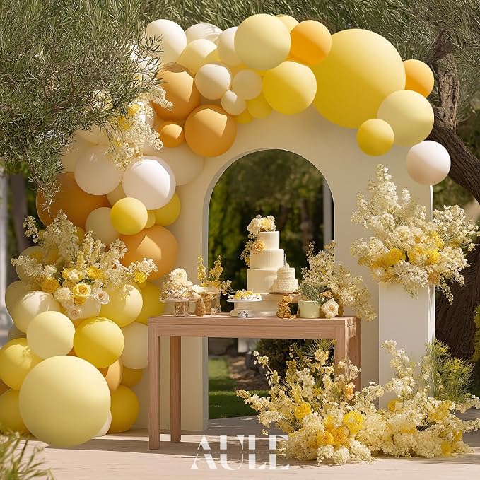 AULE Balloon Arch Kit - Image 5