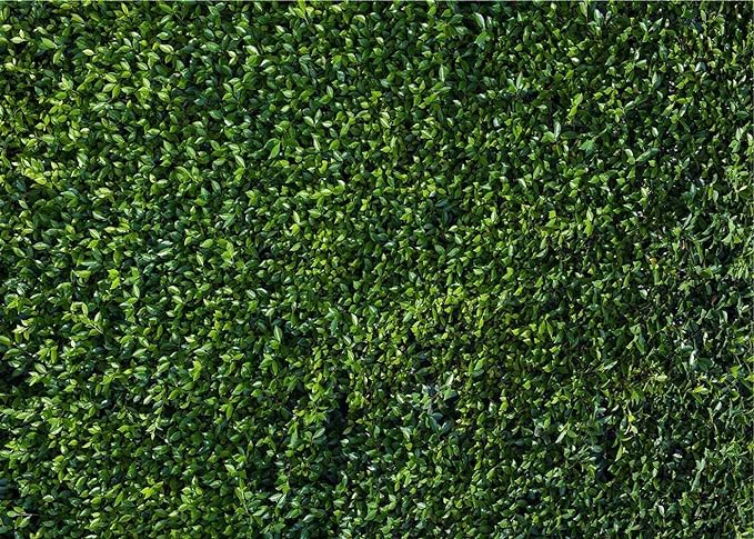 Nature Spring Green Leaves Theme Photo Background Wedding Birthday Party - Image 7