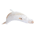 Novelty White Whale Hair Clips,Cute Acetate Hair Clip,Big Claw Clips for Women