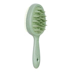Green Double-sided Hair Brush, Portable Massage Comb