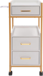 Salon Trolley with Wheels, 3 Drawers Salon Cart with Hair Dryer Holder Utility Salons Cabinet for Tools Storage at Barbershop Beauty Salons Tattoo Shop (White)