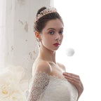 Didder Rose Gold Crystal Tiara Crown Headband Princess Elegant Crown with combs for Women Girls Bridal Wedding Prom Birthday Party