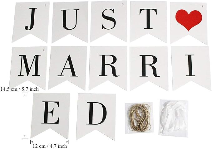 Vintage Just Married Banner Wedding Bunting Photo Booth Props Signs Garland - Image 8