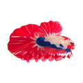 Novelty Aquatic Animals Hair Clips,Fighting Fish Hair Clip,Cellulose Acetate Hair Clips,Big Claw Clips for Women