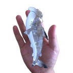 Novelty Hammerhead Shark Hair Clip,Acetate Hair Claw,Big Hair Clips for Women