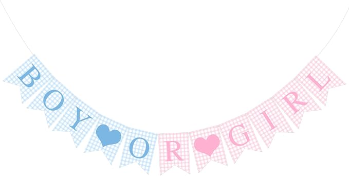 Hahafelt 1 Pcs Blue Pink Gingham Boy or Girl Banner by Hahafelt