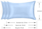 100% Mulberry Silk Pillowcases Set of 2 for Hair and Skin and Super Soft and Breathable Queen Size Nature Silk Pillowcases (Queen, Blue)