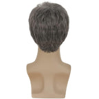 Kaneles Mens Grey Short Wig Synthetic Replacement Costume Halloween Soft Layered Natural Hair Male Wigs (Gray)