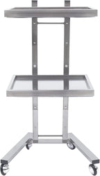 2 Tier Foldable Tray Trolley, Stainless Steel Salon Storage Metal Rolling Cart Mobile Hairdressing Tool Organizer with Wheels for Hair Salon, Studios, Spa Salons (Silver)