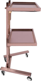 2 Tier Foldable Tray Trolley, Stainless Steel Salon Storage Metal Rolling Cart Mobile Hairdressing Tool Organizer with Wheels for Hair Salon, Studios, Spa Salons (Rose Gold)