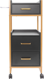 Salon Trolley with Wheels, 3 Drawers Salon Cart with Hair Dryer Holder Utility Salons Cabinet for Tools Storage at Barbershop Beauty Salons Tattoo Shop (Black)