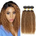 1B27 Bundles Human Hair Ombre Blonde Kinky Curly Bundle Virgin Remy Hair 3 Bundles 14 16 18 Inch Niegmeag Double Weft Soft and Silky 2 Tone Black and Honey Blonde Bundle 300g