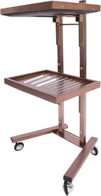 2 Tier Foldable Tray Trolley, Stainless Steel Salon Storage Metal Rolling Cart Mobile Hairdressing Tool Organizer with Wheels for Hair Salon, Studios, Spa Salons (Rose Gold)