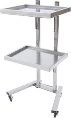 2 Tier Foldable Tray Trolley, Stainless Steel Salon Storage Metal Rolling Cart Mobile Hairdressing Tool Organizer with Wheels for Hair Salon, Studios, Spa Salons (Silver)