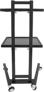 2 Tier Foldable Tray Trolley, Stainless Steel Salon Storage Metal Rolling Cart Mobile Hairdressing Tool Organizer with Wheels for Hair Salon, Studios, Spa Salons (Black)