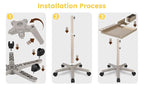 Hair Salon Carts, Champagne Gold Salon Tray for Hair Stylist, Multi-Function Salon Tray, Salon Station(with Wheels), Large Size and Robust,Corrosion-Resistant Adjustable Color Tray.