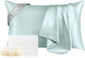 THXSILK 100% Mulberry Silk Pillowcase for Hair and Skin, Grade 6A+ Mulberry Silk Pillow Case Soft and Breathable, Hypoallergenic Pillow Case Cover with Zipper, 1pc (Queen 20"x30", Light Blue)