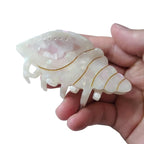 Spiral Conch Claw Clip,Acetate Hair Clips,Small Claw Clips for Women,White
