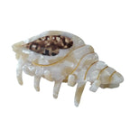 Spiral Conch Claw Clip,Acetate Hair Clips,Small Claw Clips for Women,Brown