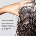 PHILIP KINGSLEY | Re-Moisturizing Smoothing Shampoo | For Curly, Frizzy, Wavy, Dry, Coarse Hair Types | Hydrating Shampoo that Re-Moisturizes and Smooths Hair | 33.8oz