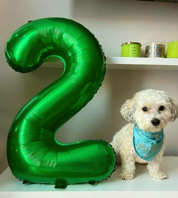 Green 40 Inch 20 Number Balloons, 20 Decorations - Image 6