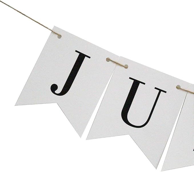 Vintage Just Married Banner Wedding Bunting Photo Booth Props Signs Garland - Image 5