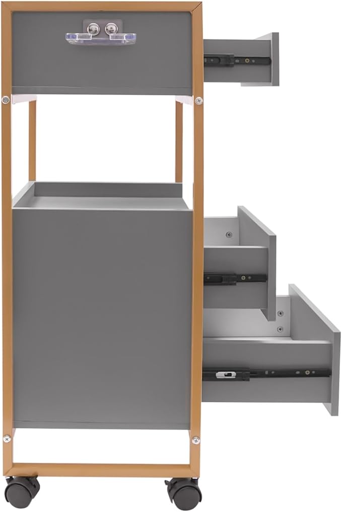 Salon Trolley with Wheels, 3 Drawers Salon Cart with Hair Dryer Holder Utility Salons Cabinet for Tools Storage at Barbershop Beauty Salons Tattoo Shop (Grey)