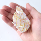 Conch Claw Clip,Ocean Hair Clip,Acetate Hair Clips,Small Claw Clips for Women