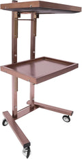 Hairstylist Trolley Cart with Wheels, 2 Tier Salon Tray Cart with Storage Platform, Stainless Steel Salon Service Station Hair Color Tray, Mobile Hairdressing Trolley for Spa Home Use (Rose-Gold)