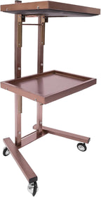 Hairstylist Trolley Cart with Wheels, 2 Tier Salon Tray Cart with Storage Platform, Stainless Steel Salon Service Station Hair Color Tray, Mobile Hairdressing Trolley for Spa Home Use (Rose-Gold)