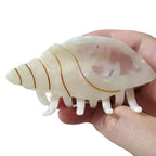 Spiral Conch Claw Clip,Acetate Hair Clips,Small Claw Clips for Women,White