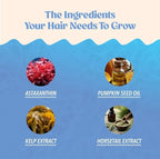 Akasha Superfoods Grow Hair & Beauty Gummies, Supplement with Zinc, Vitamin E, Astaxanthin, Kelp, & Pumpkin Seed, Plant Based Gummies for Women & Men, Gluten Free, Vegan, American Made, 60 Count