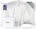 ZIMASILK Upgraded 100% 6A Grade Pure Mulberry Silk Pillowcase for Hair and Skin Silk Pillow Cases with Reinforced Hidden Zipper, More Soft & Durable, Gift Box (Queen 20"x30" Ivory)