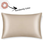 ALASKA BEAR Natural Silk Pillowcase, Hypoallergenic, 19 Momme, 600 Thread Count 100 Percent Mulberry Silk, Queen Size with Hidden Zipper (1,Champagne Gold)