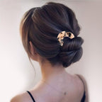 French Hair Pins Tortoise Shell French Hair Forks U Shaped French Pins 2 Prong Hair Sticks Acetate Chignon Pin for Women Hairstyle Accessories 2 Pack