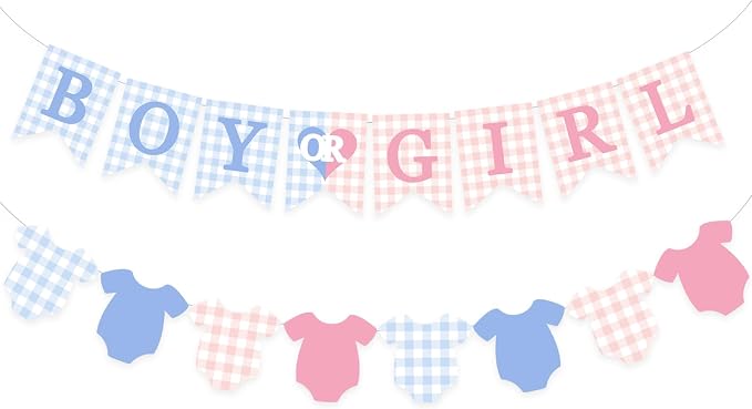 Gingham Boy Or Girl Baby Banner Plaid Welcome Baby Shower Sign Decoration by DUIILHOS
