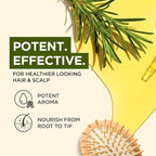 Gya Labs Rosemary Essential Oil - 4 Fl Oz - for Hair, Skin, Diffuser, Aromatherapy & DIY Candle Making Scent