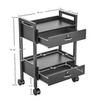 Salon Beauty Cabinet Cart Trolley 2-Layer Rolling Storage Drawer Organizer Wheels Lockable Tool Salon Station Barber Stylist Equipment Makeup Spa Cart (Black-2 Layer)