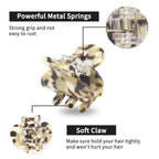 Cobahom 6Pcs 1.06 Inch Small Hair Clips Mini Claws Clips for Thin Thick Hair, Cellulose Acetate Jaw Clips for Hair Styling, Tortoise Shell Barrettes for Women Girls (Brown)