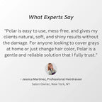 Polar Haircare - Hair Dye Shampoo Light Brown for Gray Hair for Women & Men - Natural Semi Permanent Hair Color Shampoo - Vegan Coloring Shampoo for Gray Hair - Gentle Hair Shampoo Dye 6.76 Fl Oz