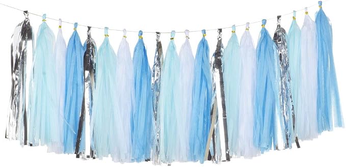 We Moment Tissue Paper Tassels Party Tassel Garland Banner by We+Moment