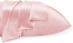 BEDELITE Satin Pillowcase for Hair and Skin, Super Soft and Cooling Similar to Silk Pillow Cases 2 Pack with Envelope Closure, Gift for Women Men(20"x30" Queen Size, Pink)