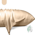 100% Mulberry Silk Pillowcase 2 Pack,Standard Size Silk Pillow Cases for Hair and Skin,Silky Smooth Bed Pillow Cover with Hidden Zipper,Natural Silk Pillow Case Set of 2 (Champagne, Standard 20X26)