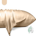 100% Mulberry Silk Pillowcase 2 Pack,King Size Silk Pillow Cases for Hair and Skin,Silky Smooth Bed Pillow Cover with Hidden Zipper,Natural Silk Pillow Case Set of 2 (Champagne, King 20X36)