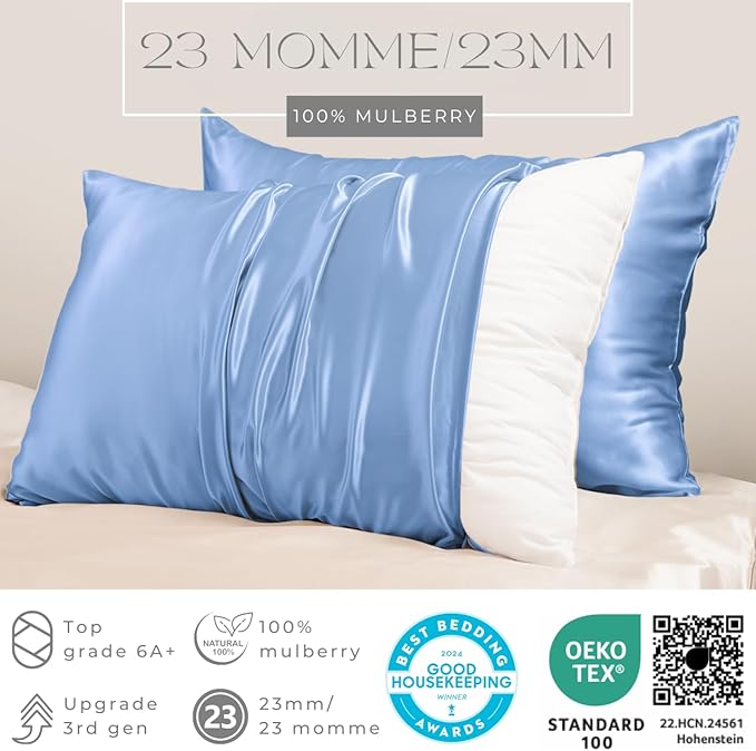 PROMEED Real 23 Momme 100% Silk Pillowcase for Hair and Skin, Both Sides Cooling Premium Grade 6A+ Mulberry Silk Pillow Case with Zipper, 1pc (Queen 20"x30", Light Blue)